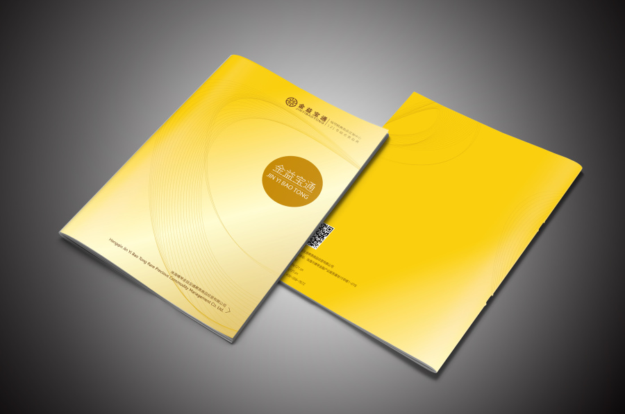 金益宝通画册|书装\/画册|平面|漂浮的人 - 原创设