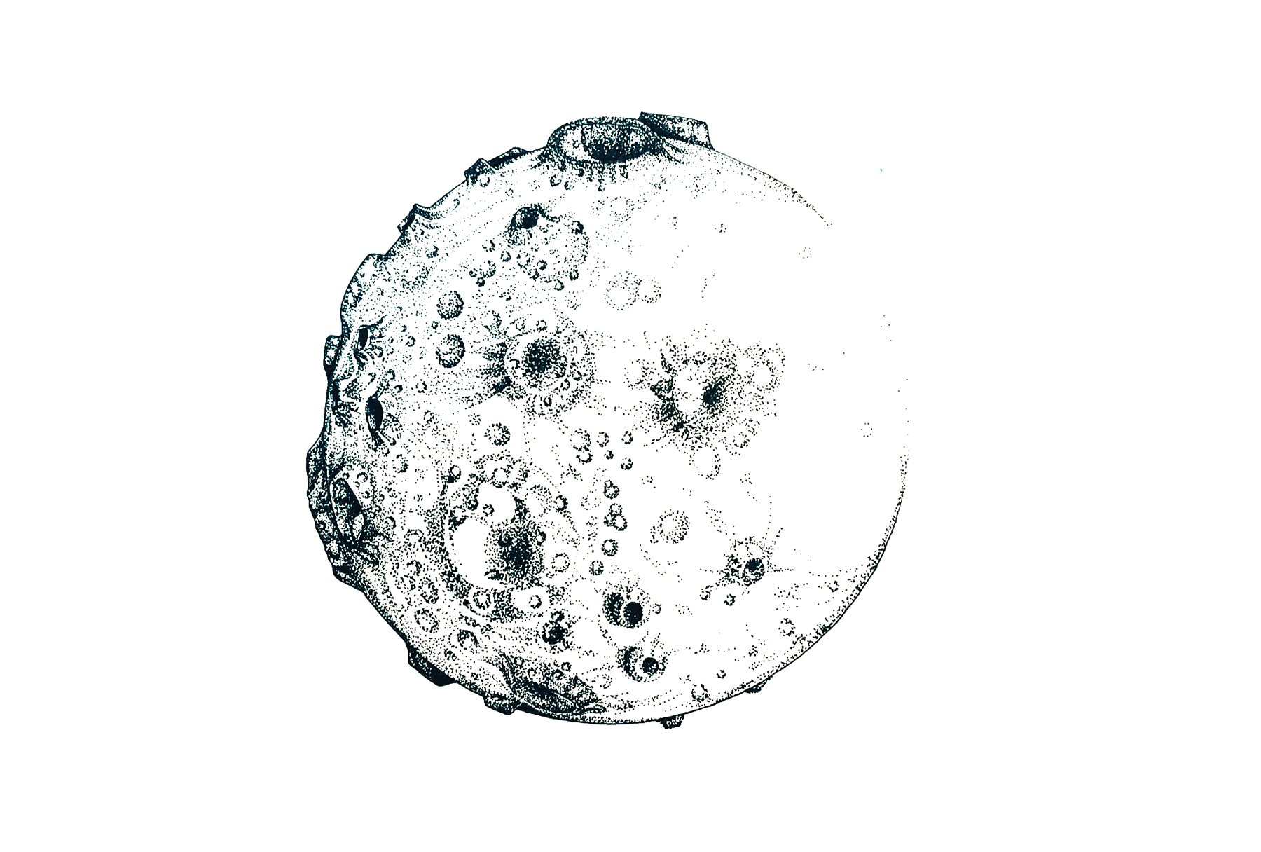 小月球的明信片