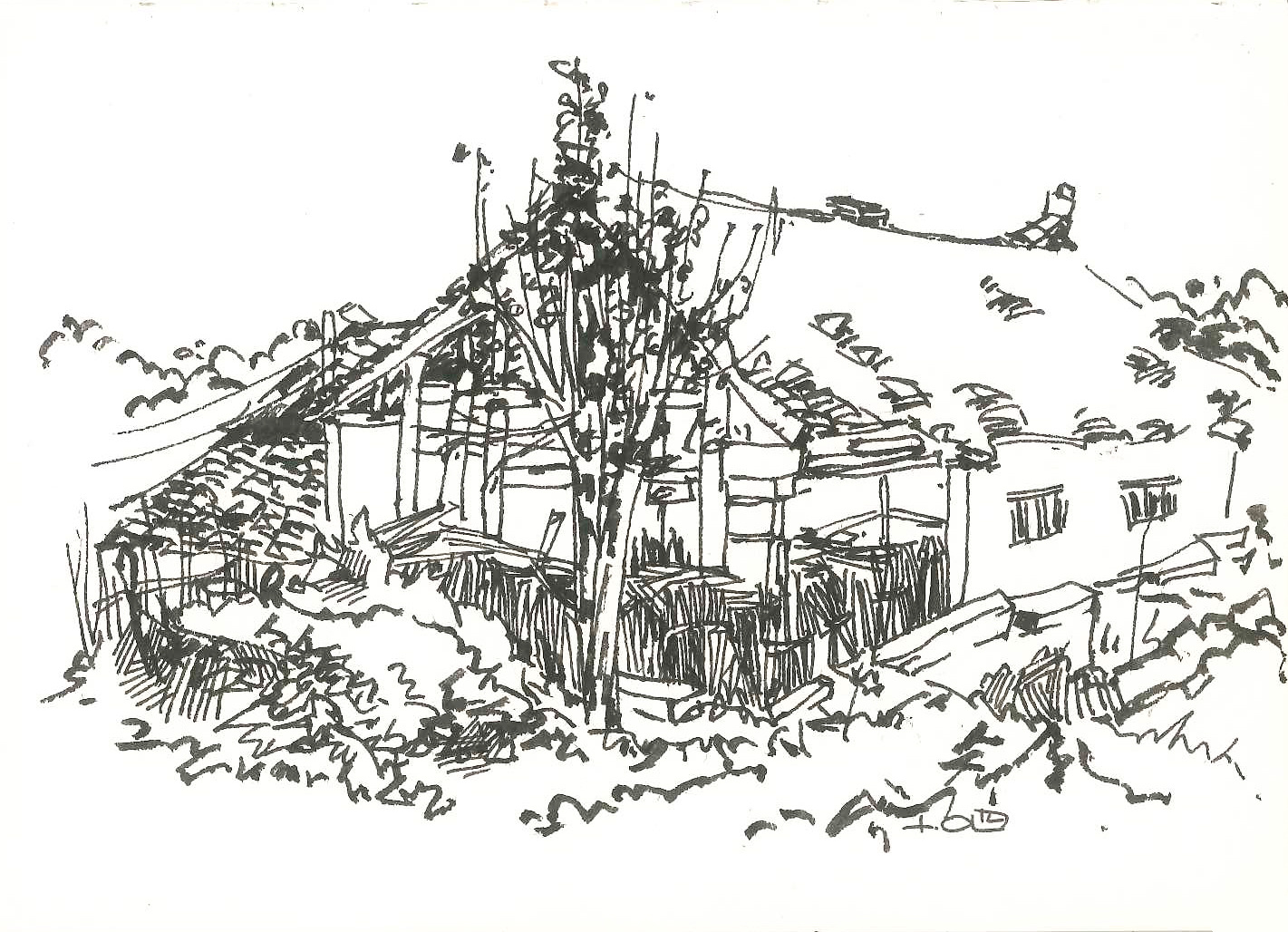 周庄写生-钢笔风景速写