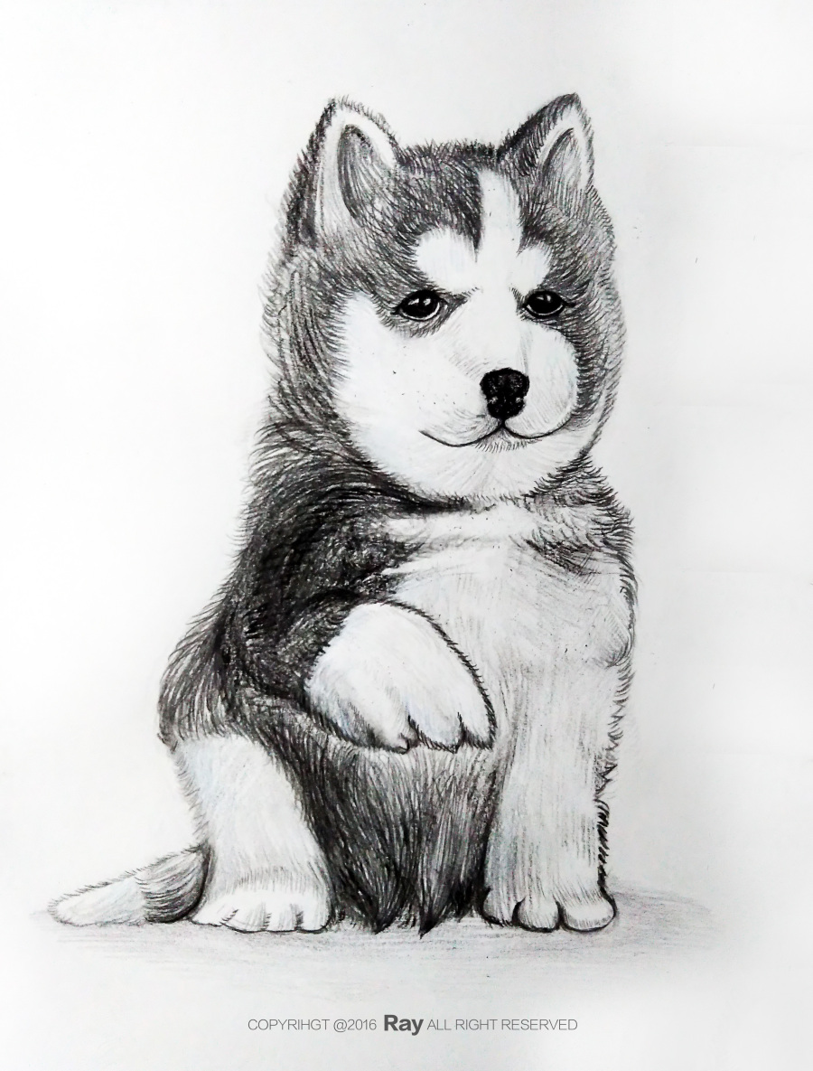 闲时杂画|绘画习作|插画|反恐蜘蛛 - 原创设计作