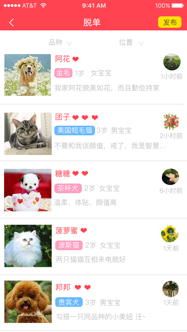 宠物社交app|移动端\/H5|网页|Churches - 原创设