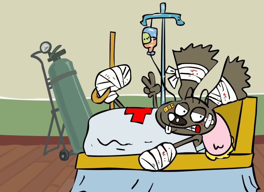 兔匪匪找不同系列103|单幅漫画|动漫|兔匪匪 - 