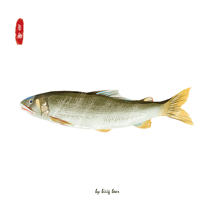 食帖第三期《食鲜最高》特辑|插画|商业插画|b