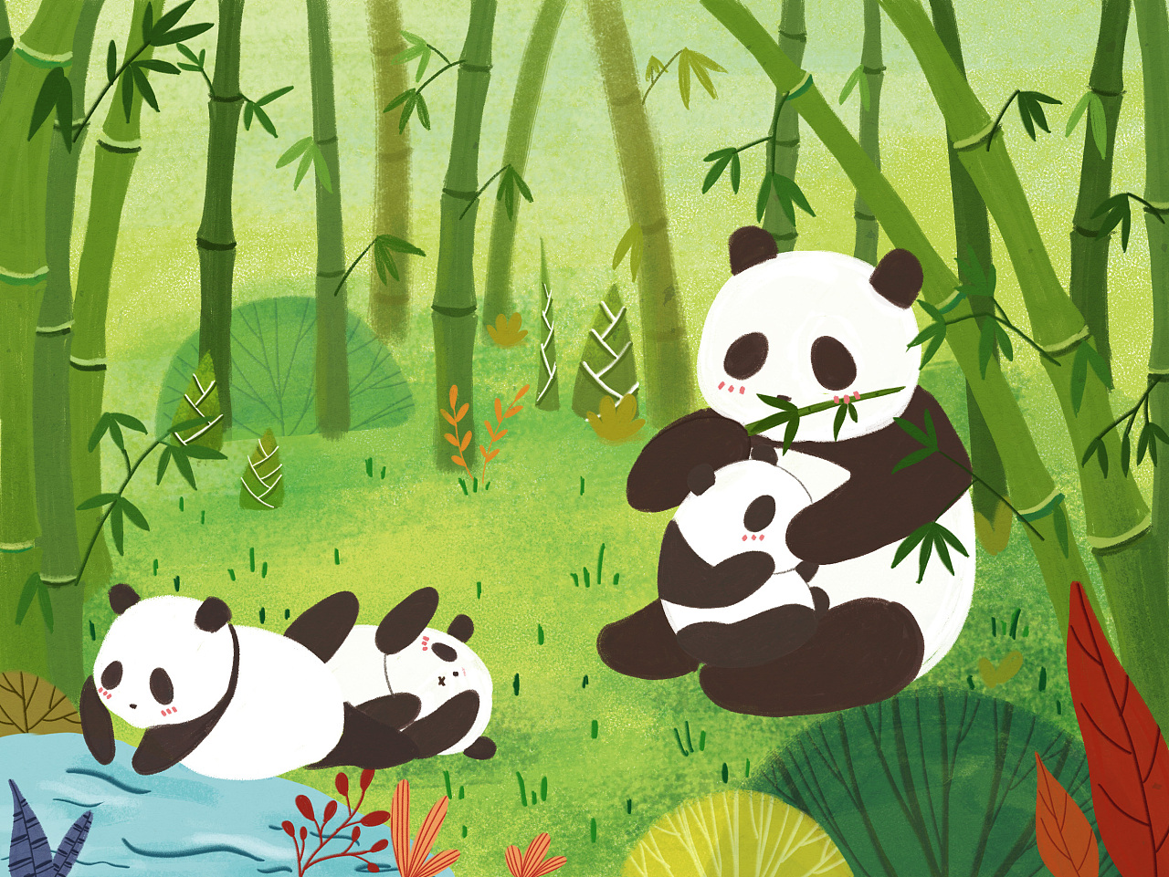 战战兢兢完稿的第一本绘本～～与熊猫有关