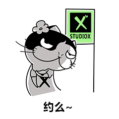 stxer-cat动图表情包