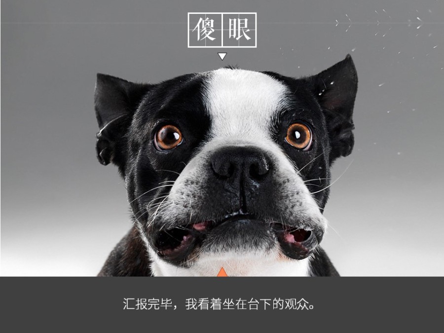 【教程09】用c4d打造震撼人心的3d图表|PPT\/