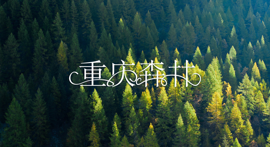 影视剧名称字体设计练习-重庆森林|字体\/字形|平