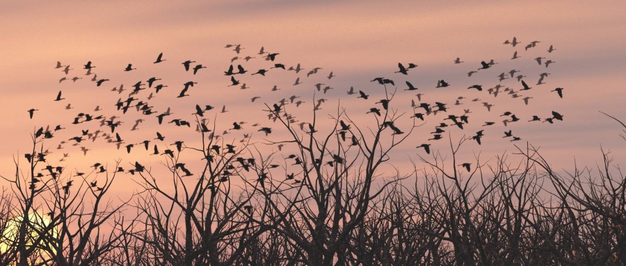 vue杂集|场景|三维|67314193 - 原创设计作品 -