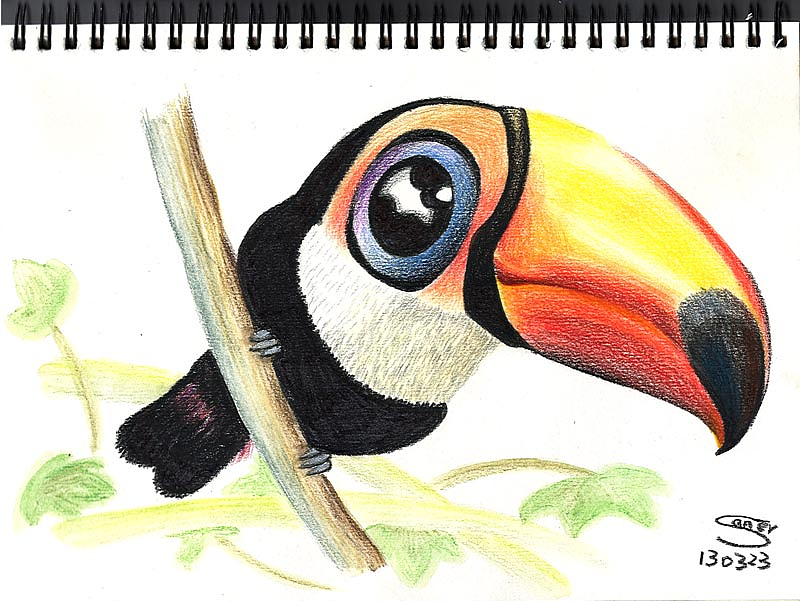 画一只有名的大嘴鸟吧,印象里都有这种鸟的原样吧,所以可见我画的比例