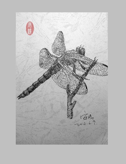 原创作品:蜻蜓 钢笔点画