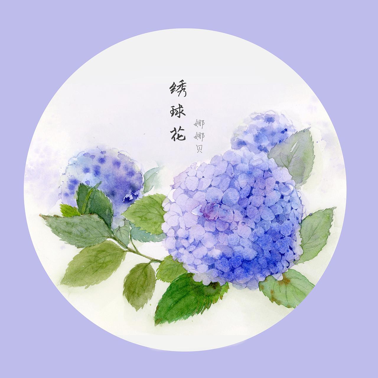 绣球花,也叫八仙花,紫阳花.