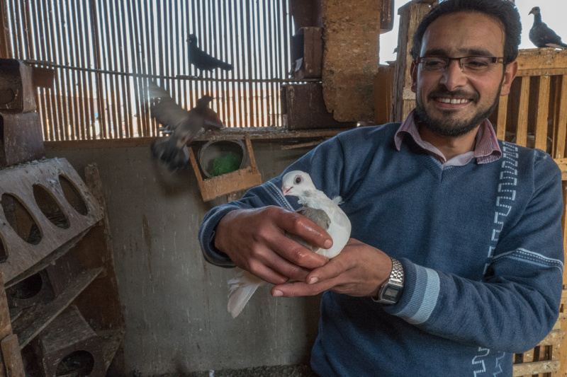 埃及闽亚石灰石矿区拍摄手记-下|摄影|原创\/自译