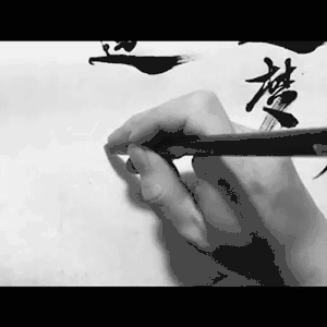 【灵度】书法教程 案例分析 30副单子书写gif图