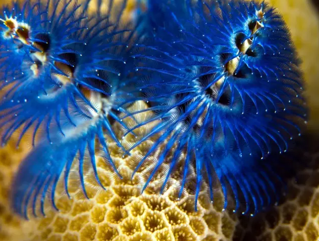 undefined 8df258d20f43a801219c7727a9d2.jpg