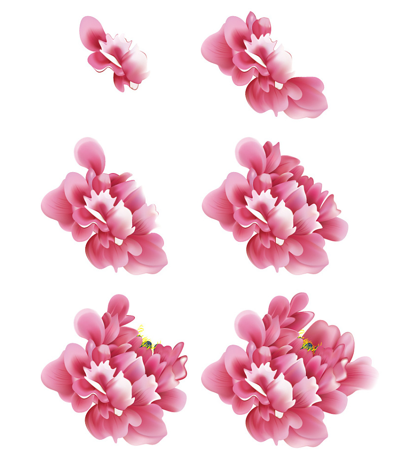 如何利用网格工具绘画国画牡丹|绘画|原创\/自译教程|嶌翴 - 设计文章\/教程分享 - 站酷 (ZCOOL)