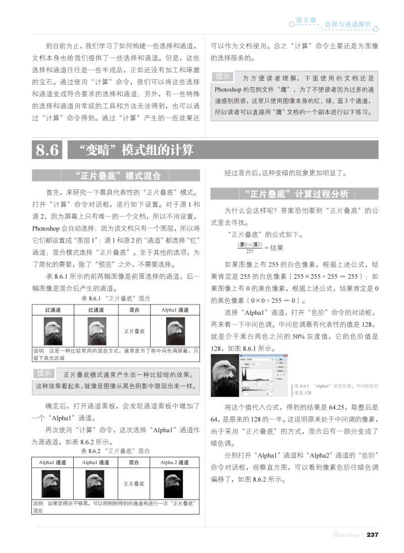 《选择的艺术 Photoshop图像处理深度剖析(第