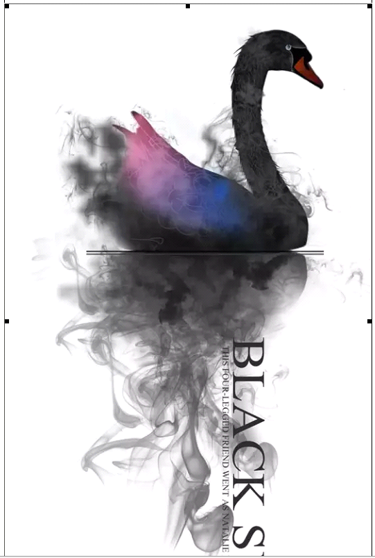 PS设计打造墨染黑天鹅海报|案例解析|酷友观点