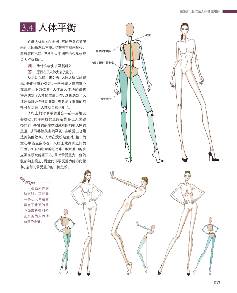 《时装画手绘表现技法:从基础到进阶》图书内