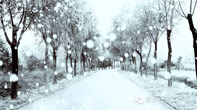 视频下雪效果制作 AE基础教程雪景制作|影视|原