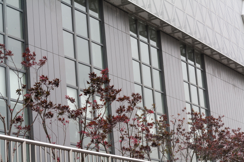 巢湖·未名生物医药产业园 单反半日游|摄影|原