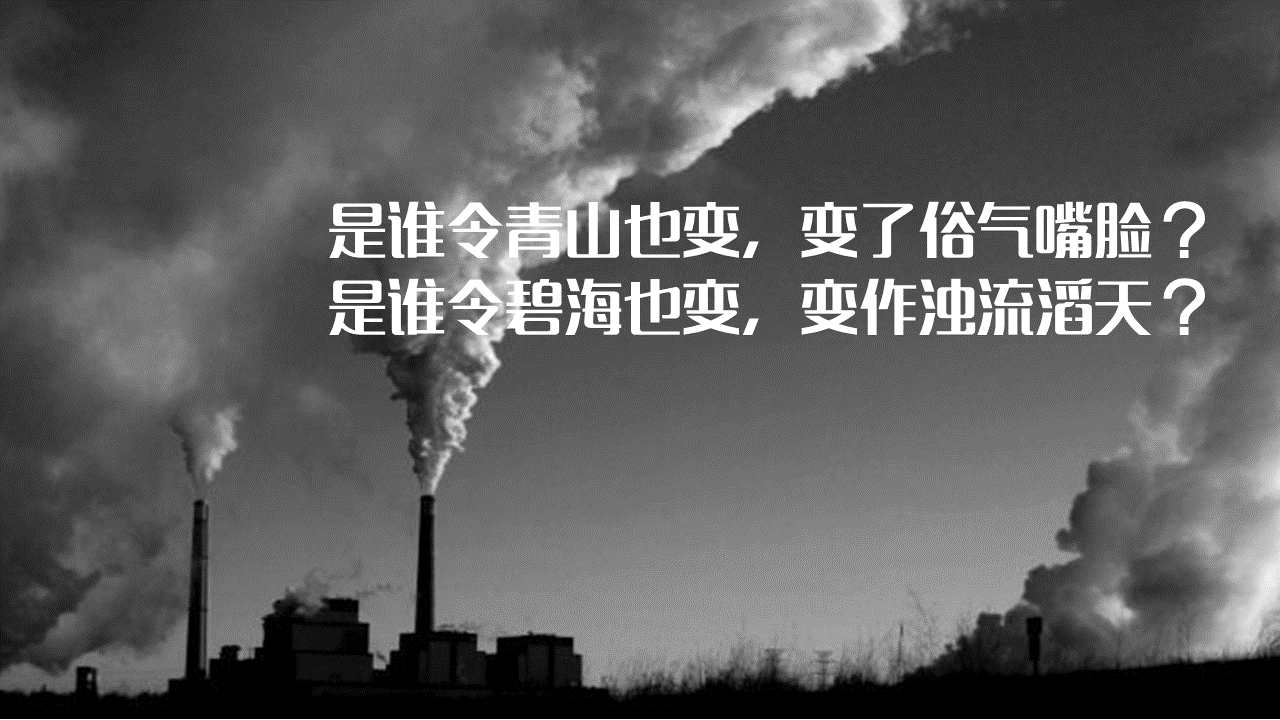 031457fba876a84a0d304f9201ba.jpg
