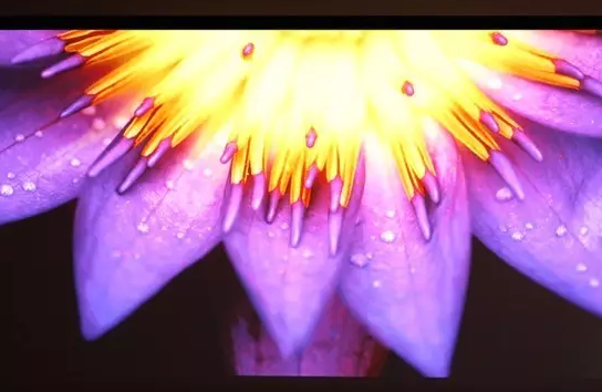 undefined 272c58d20f65a801219c77c285c7.jpg