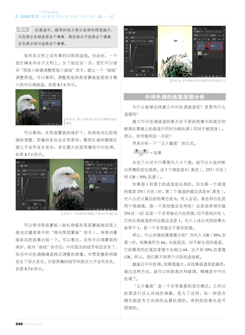 《选择的艺术 Photoshop图像处理深度剖析(第