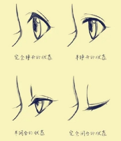 【眼睛的画法】手绘不同状态下的眼睛!