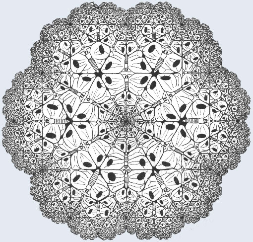 605c56aad8336ac7256cb0768dfa.jpg
