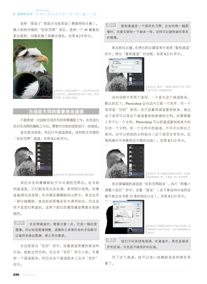 《选择的艺术 Photoshop图像处理深度剖析(第