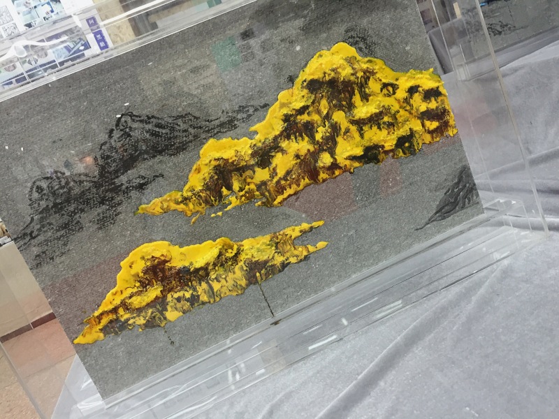 苏州科技大学 传媒与视觉艺术学院 本科生毕业