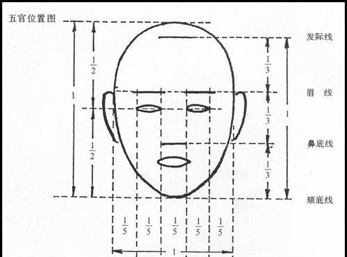 动漫绘画学习:动漫人物脸型画法及脸部结构比例