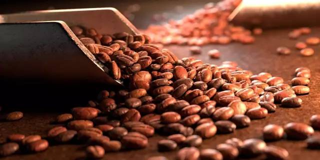 C4D R19三维软件Maxon CINEMA 4D Studio R