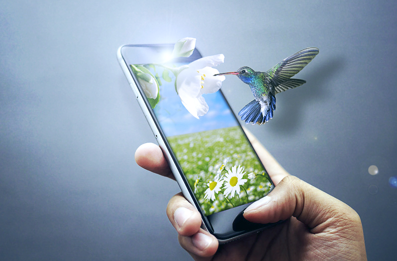 手机裸眼3d蜂鸟合成超现实摄影