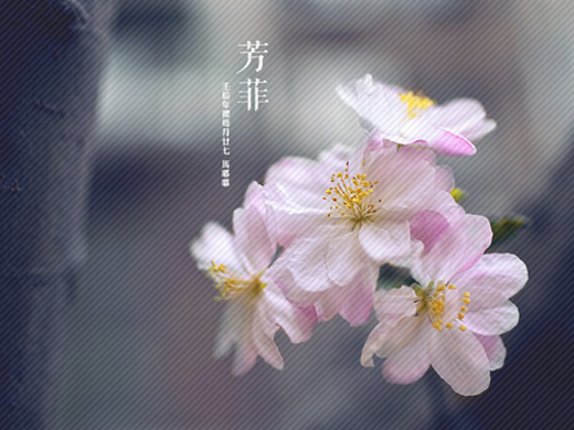 d7dd591823cba801216a3e7cd783.jpg
