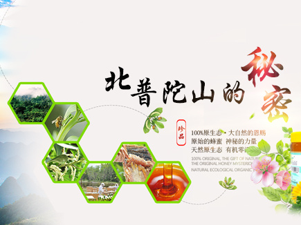 蜂蜜柠檬茶 蜂蜜柚子茶_蜂蜜微信推送文案_蜂蜜文案