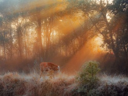 乡愁 - 图片大全,素材搜索,设计素材下载 - 站酷