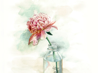 小清新手绘水彩插画_花卉组