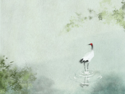 百事通nba直播:home.aipai.com\/37567011?ac