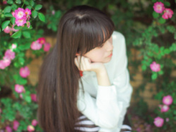 牙 - 图片大全,素材搜索,设计素材下载 - 站酷 (Z