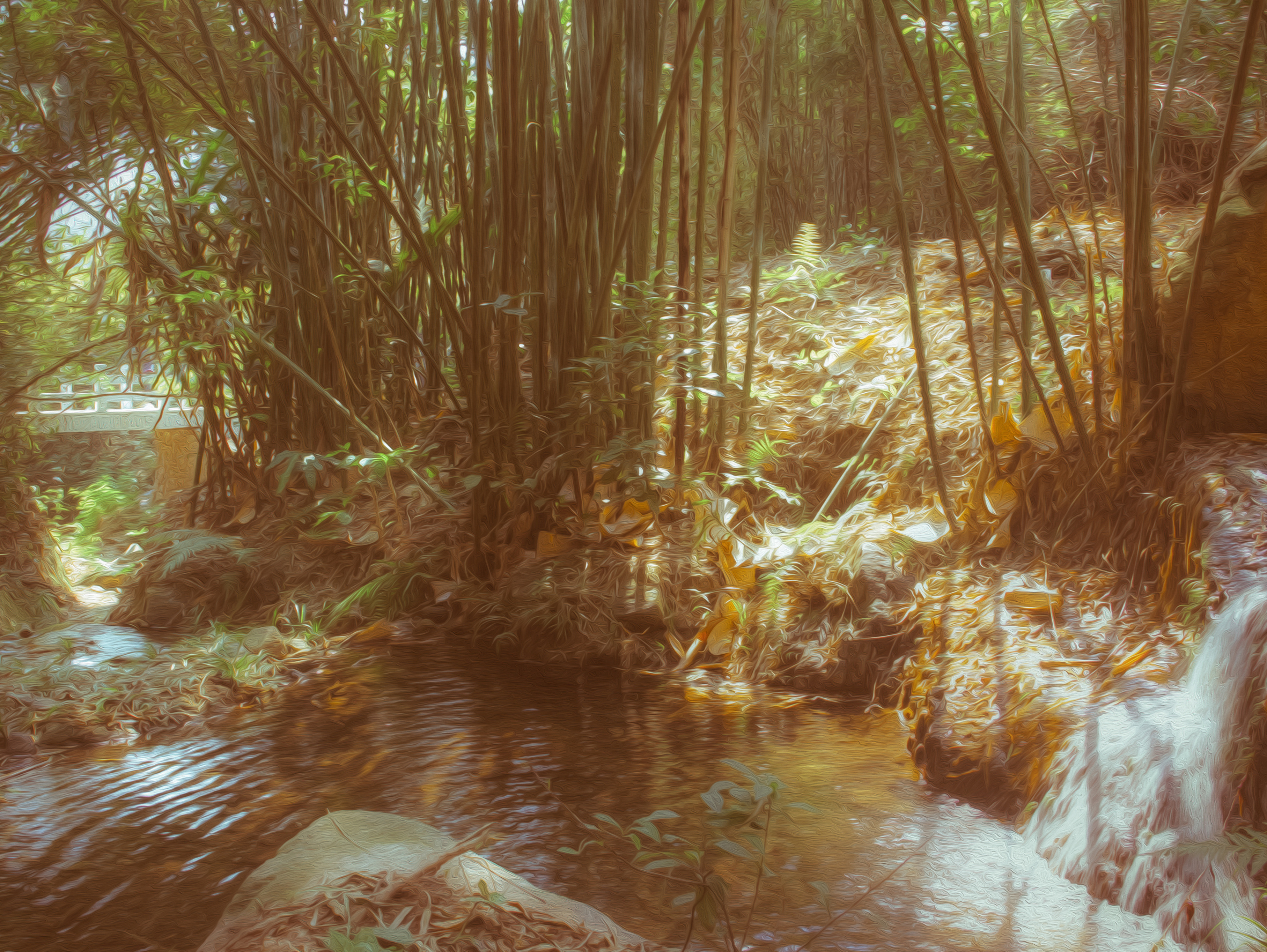 摄影--《竹林流水》
