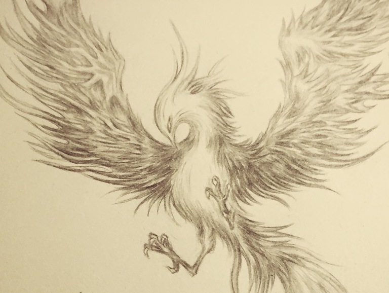 素描 鸾鸟