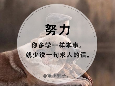 图不重要看字图片配图