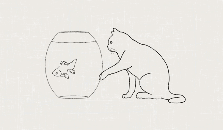 简笔画 手绘 线稿 750_437 gif 动态图 动图