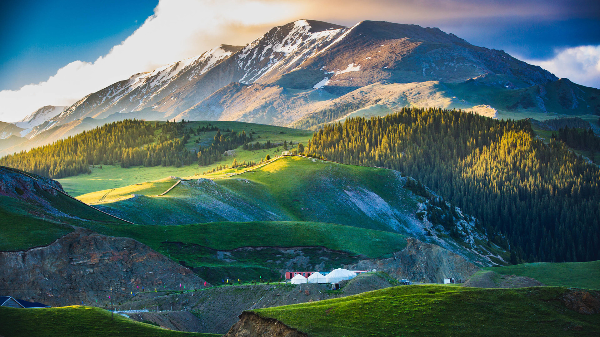 宇宙牛仔的主页 - 站酷 (ZCOOL)