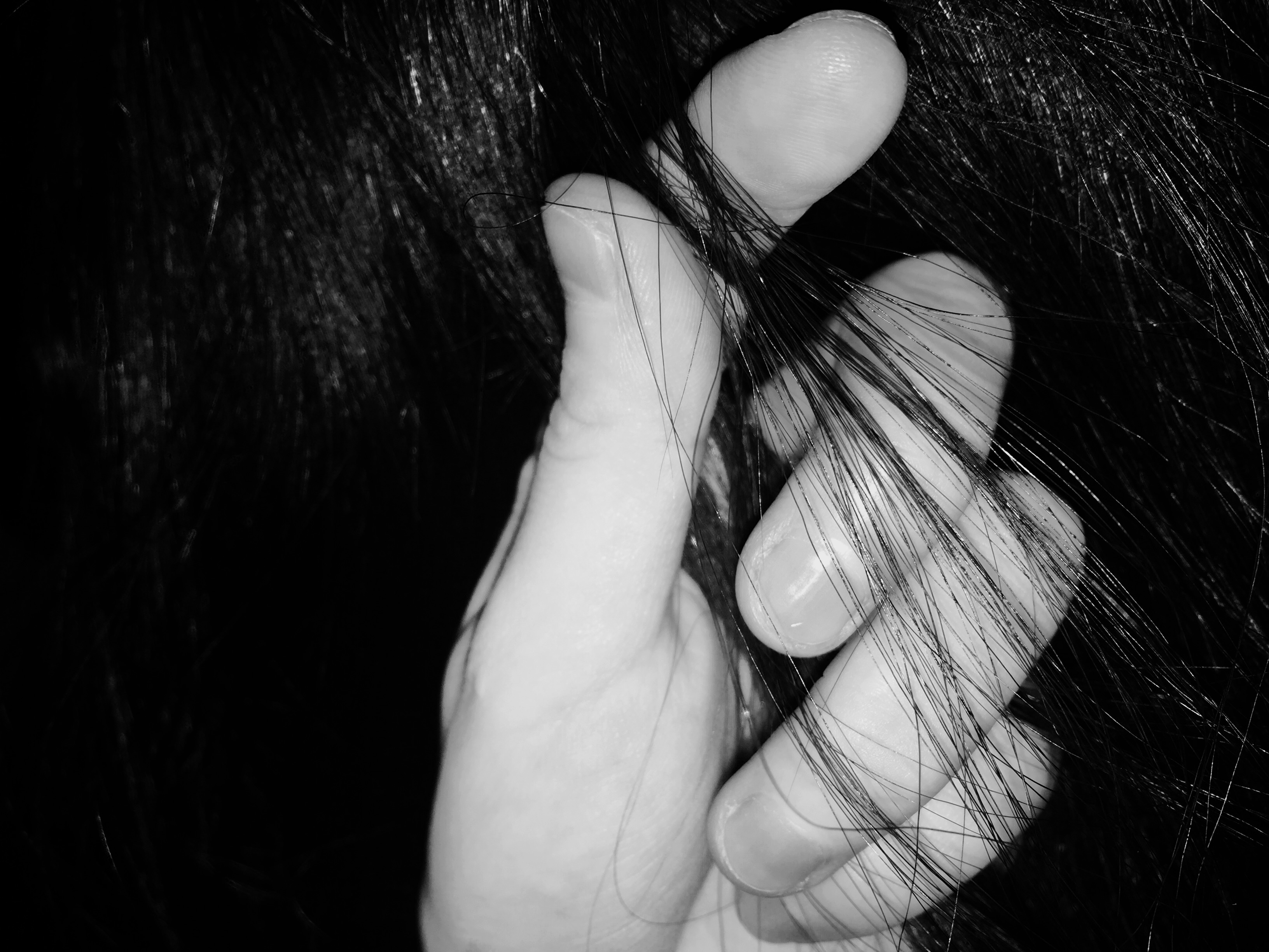 边边师父的资料 - 站酷 (zcool)