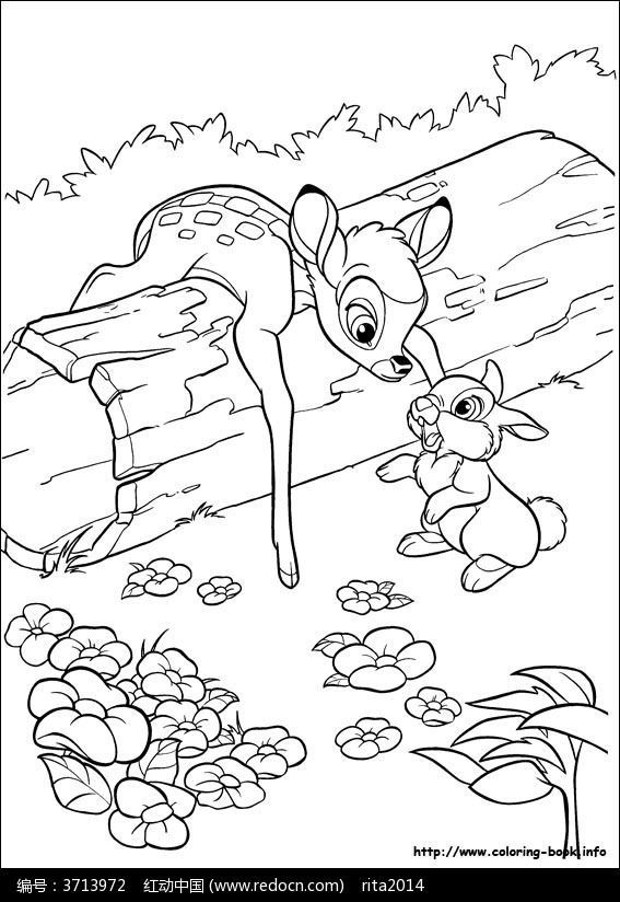 卡通小鹿斑比和桑普线描图片