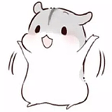 仓鼠CK的头像