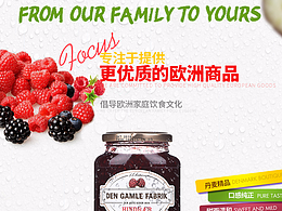 【食品类—产品详情页总结】2016年食品类详情（1）