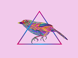 Libratone小鳥(niǎo)音響外套圖案設(shè)計(jì)